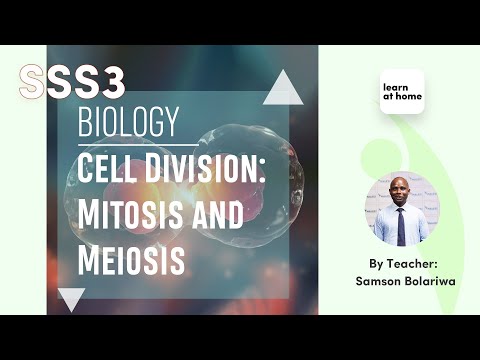 Video: Phân loại độc lập xảy ra ở giai đoạn nào của meiosis?