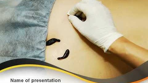 Leeches Therapy PowerPoint Template by PoweredTemplate.com