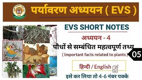 Target CTET-2020 | Environmental Studies (EVS) by DK Gupta | Class- 05 | Short Notes