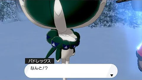 バドザシ対策