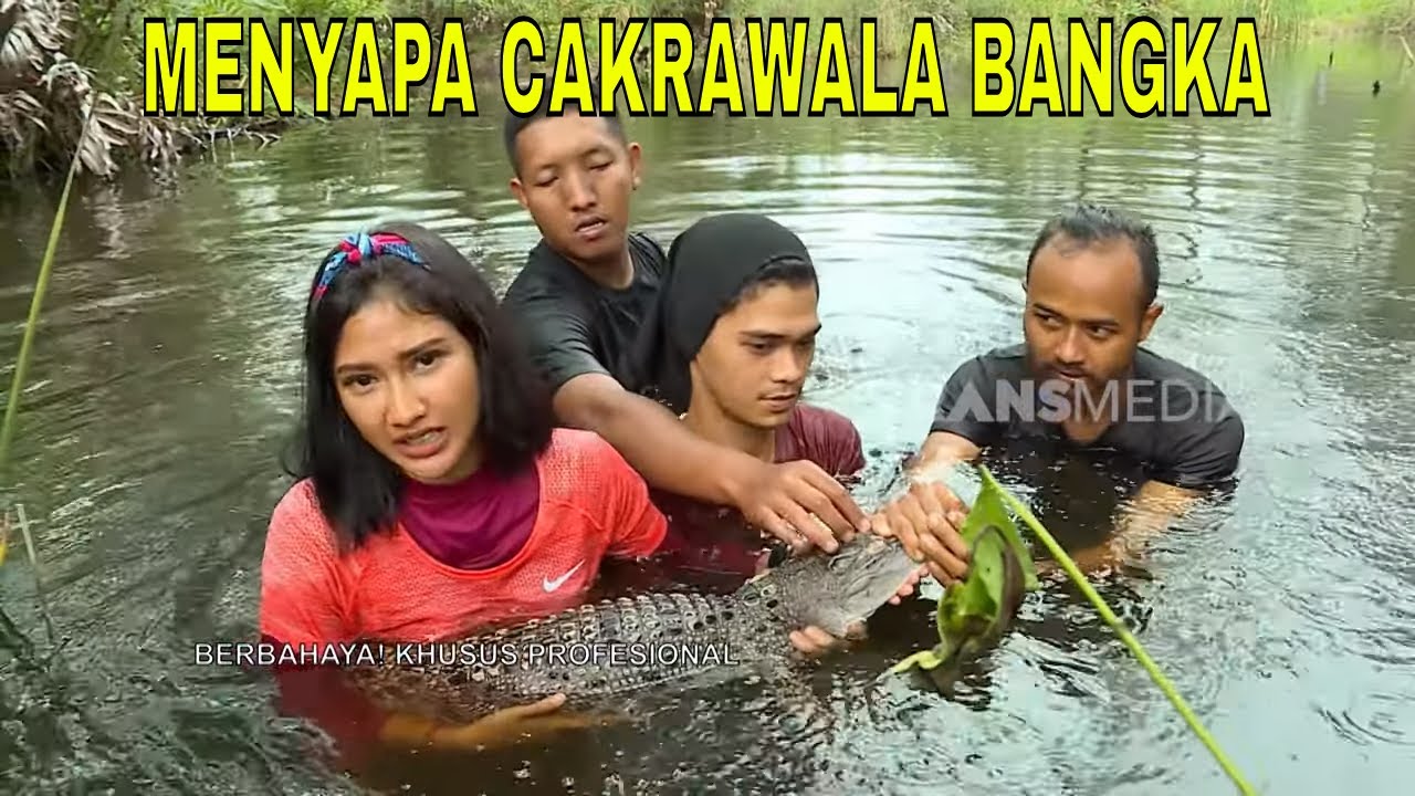 [FULL] MENYAPA CAKRAWALA BANGKA | JEJAK PETUALANG  (02/10/25)
