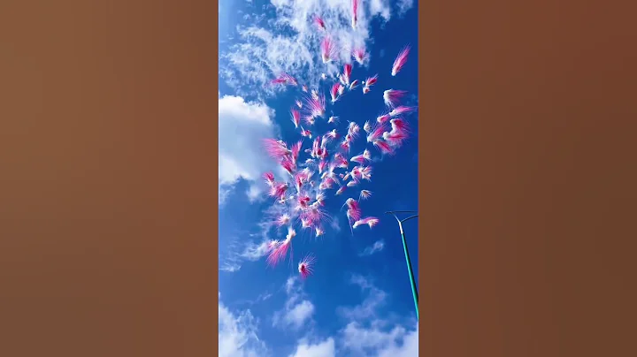 Daytime color smoke fireworks. - DayDayNews