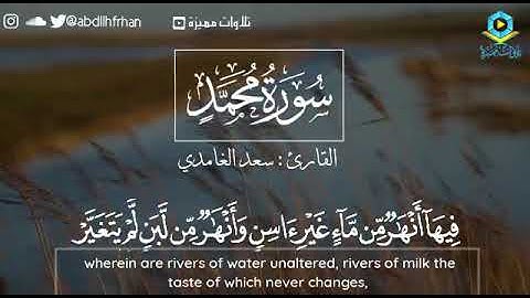 سعد الغامدي - سورة محمد || مَّثَلُ الْجَنَّةِ الَّتِي وُعِدَ الْمُتَّقُونَ