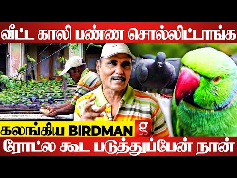 இந்த 3,000 உயிர்களை காப்பாத்தனும்..தமிழக அரசுக்கு கோரிக்கை | Bird Man | Sekar | Chennai Bird Man