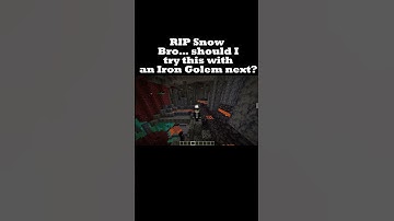 Can a Snow Golem Survive the Nether? ⛄🔥