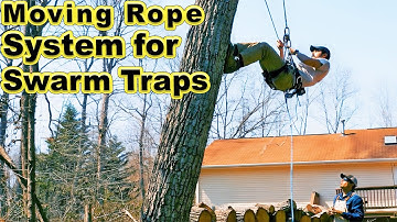 Setting Up Swarm Traps and a Bear Fence