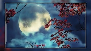 سورة الحديد من أجمل التلاوات بصوت القارئ مؤيد جاموس