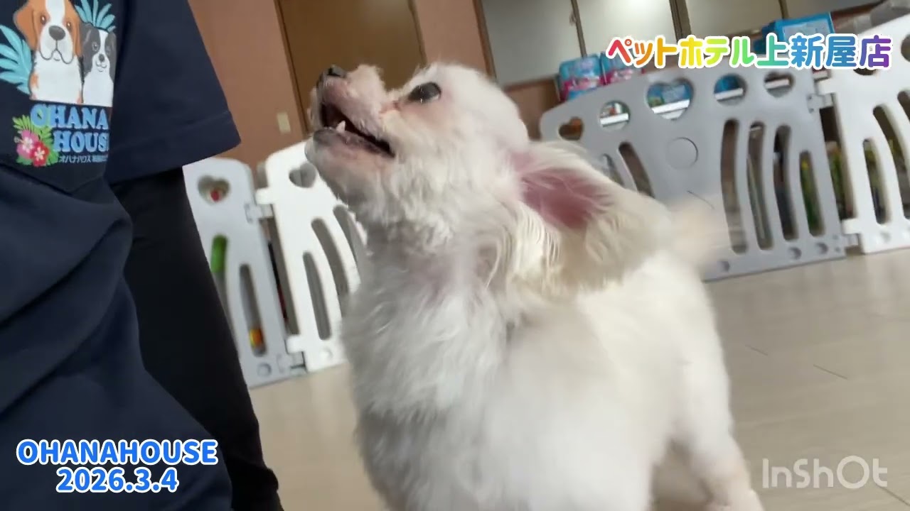 ペットホテル上新屋店