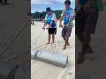 Clean Up The Beach Cleanup Beach Clean Up The Beach Cleanup Beach