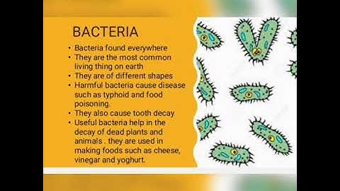 CBSE  STD 4th  SCIENCE  CHAPTER 3  Teeth & Microbes  part 2