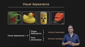 Shape vs. Appearance | Appearance Matching
