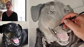 How to Paint a Pet Portrait  a watercolor painting tutorial