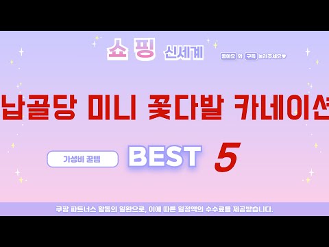 어떤 납골당 미니 꽃다발 카네이션 살지 고민되세요? 전문가 추천 TOP5