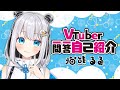 【猫です】Vtuber一問一答自己紹介/猫熊るる【やってみた】