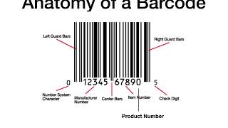 Tracking Consumer Behavior