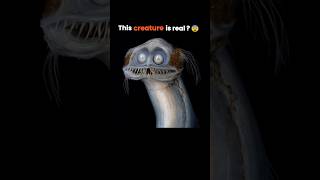 The Weirdest Underwater Creature