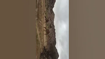 سبحان الله من خلق وسواء 