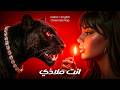 ملاذي                                                                                نجومي
