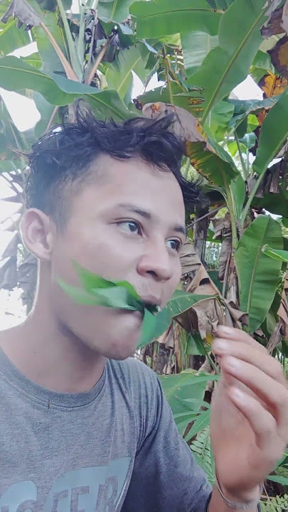cara menghilangkan bau alkohol dan rokok di mulut #rokok #alkohol #tutorial #shortvideo #youtube