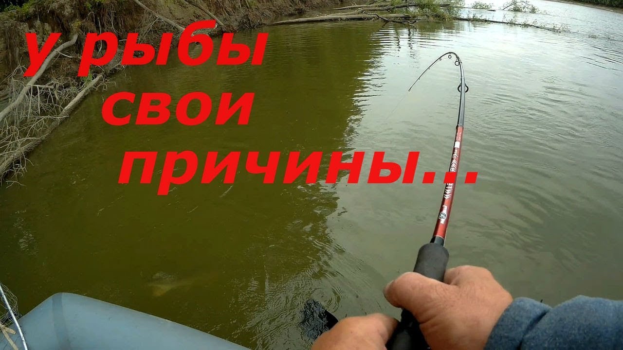 ловля рыбы в отвес ловля рыбы в отвес