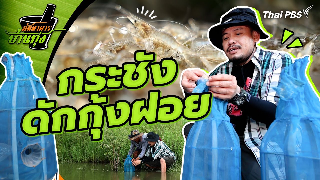 กระชังดักกุ้งฝอย | ภัตตาคารบ้านทุ่ง