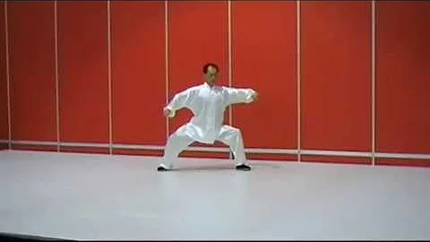 Chen/Yang taiji mixed form by master Liu Shaohua H...