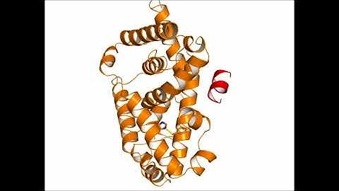 Conceptual movie of corepressor binding to ROR gamma induced by compound A.