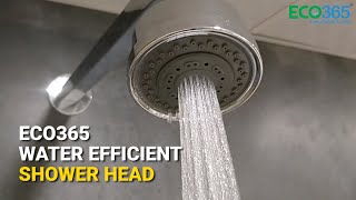 Eco365 Water Efficient Shower Head - 3 Function #SAVEWATER