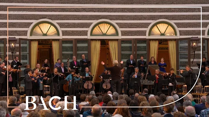 Bach - Cantata Schleicht, spielende Wellen... BWV 206 - Van Veldhoven | Netherlands Bach Society