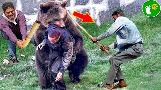 When Animals Go On A Rampage! #3 | Interesting Animal Moments CAUGHT ON CAMERA 2024 by D - Animals Reunited 6,767 views 1 month ago 57 minutes