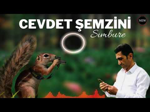 Cevdet Şemzini -  Sımbure 2021 Kurdish Dance