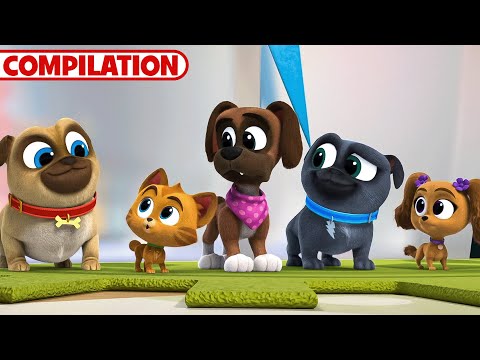 Best of Puppy Dog Pals Season 5 | 51 Minutes | Compilation | Disney Junior