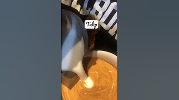 Tulip latte art practice