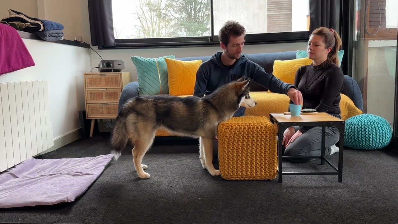 Formation ISCA Muzo+ - Semaine 18 - Analyse séance coaching