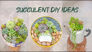 7 Succulent DIY Ideas | Tái chế đồ cũ trồng sen đá | 多肉植物| 다육이들