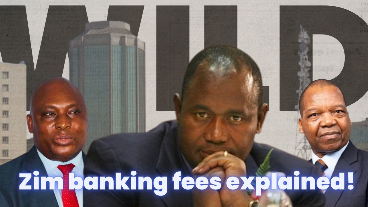 The Zimbabwe banking situation is INSANE: heres why!