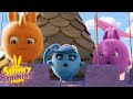 SUNNY BUNNIES - On Top Of The Castle | Season 4 | Cartoons for Children