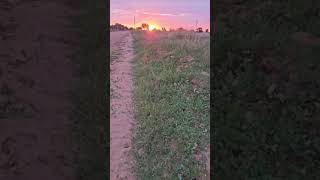 Our Lips Are Sealed.  The Go-Go's ‧ 1981 screenshot 2