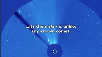 The 2017 Perihelion of Comet 96P/Machholz