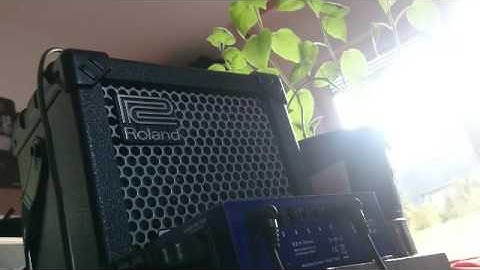 Montreal Assembly Count to Five Ct5 Rhythmic Loop