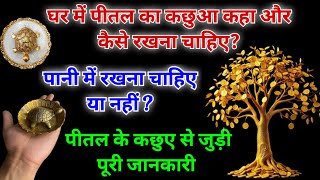 घर में पीतल का कछुआ कहा रखना चाहिए | Tortoise in house astrology |How to keep tortoise in pooja ghar