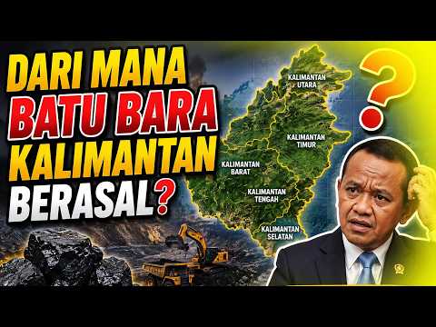 Darimana Batu Bara Kalimantan Berasal? Ini Faktanya ! #batubara #asalbatubara #batubarakalimantan