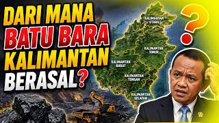 Where Does Kalimantan's Coal Come From Here Are the Facts! #coal #originofcoal #kalimantancoal