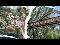 Tour Disney's NEW Land | Indiana Jones & Encanto Plans | What Will Survive? | Animal Kingdom