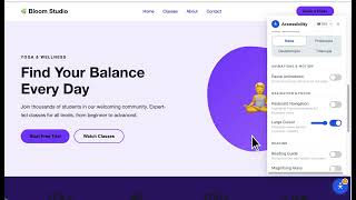 Accessibility Widget — Make Your Site Accessible for Everyone