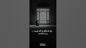 سوره المائده #qatar #اكسبلور #قران_كريم #dubai #لايك #qalb #quran #qeshm #قرآن_كريم #سورة_المائده