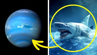 Scientists Can't Explain This Mysterious Phenomenon on Neptune