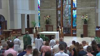 The Fifteenth Sunday in Ordinary Time