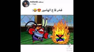 فخر قاع الهامور