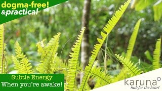 When You're Awake: Guided Breathing to Nourish Subtle Energy Awareness